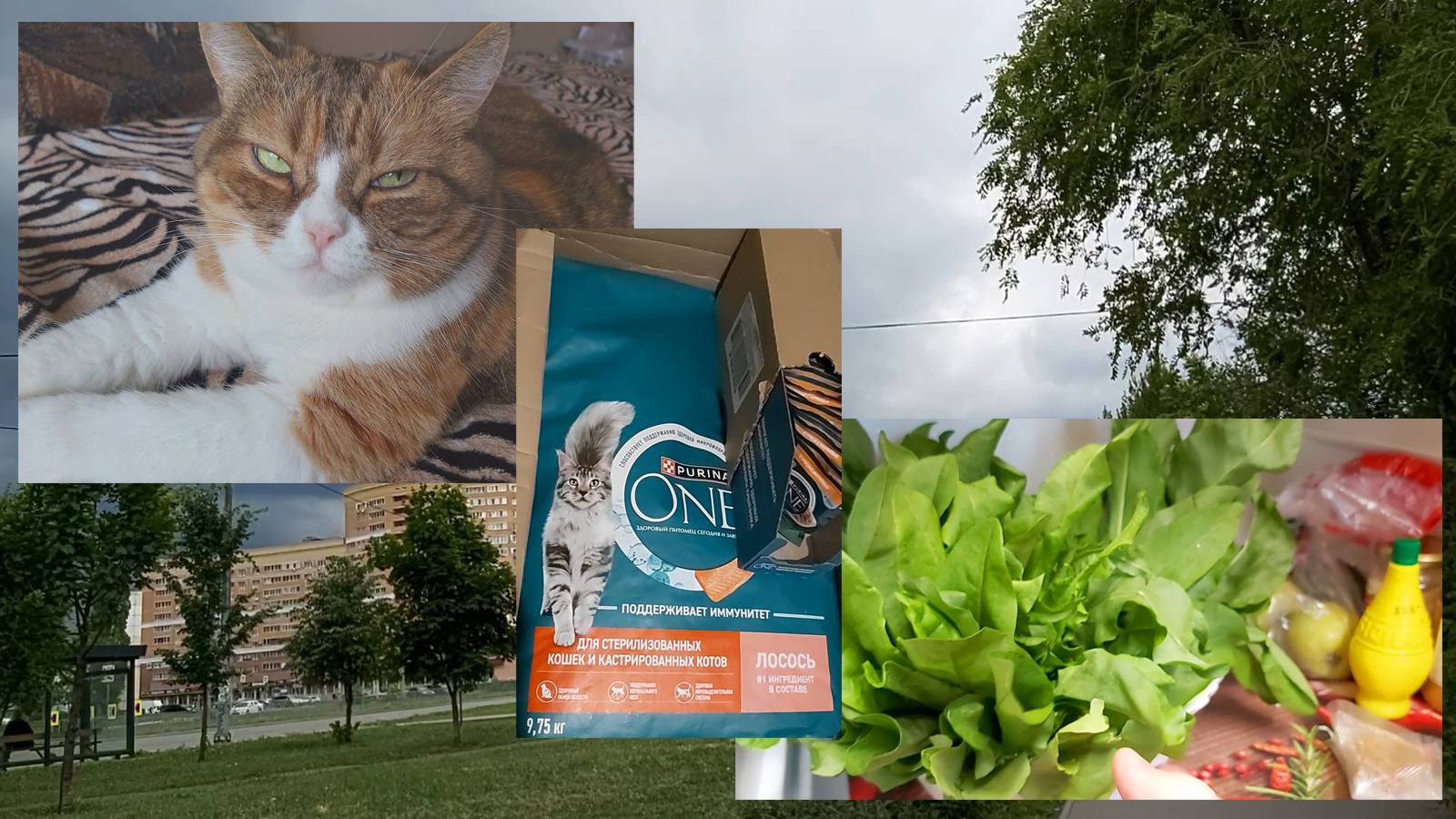 Посылки от Виктории))) Сонино счастье! Мечты сбываются! Раздождилось. Простыла на ярмарке))) смотреть онлайн