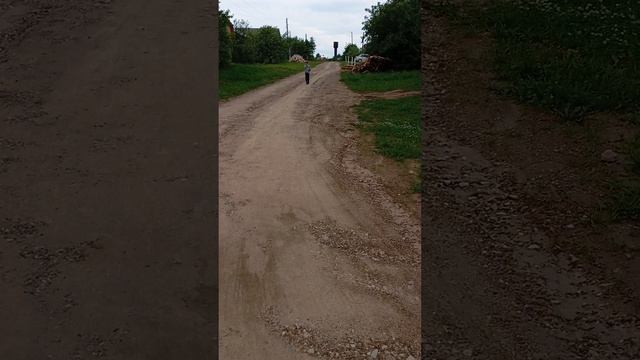 прогулка смотреть онлайн