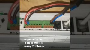 Подключение GSM модуля EctoControl к котлу Protherm