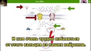 Метиленовый синий — что он может, когда и как его использовать