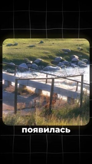 Странное поведение Казахстана после терактов в России