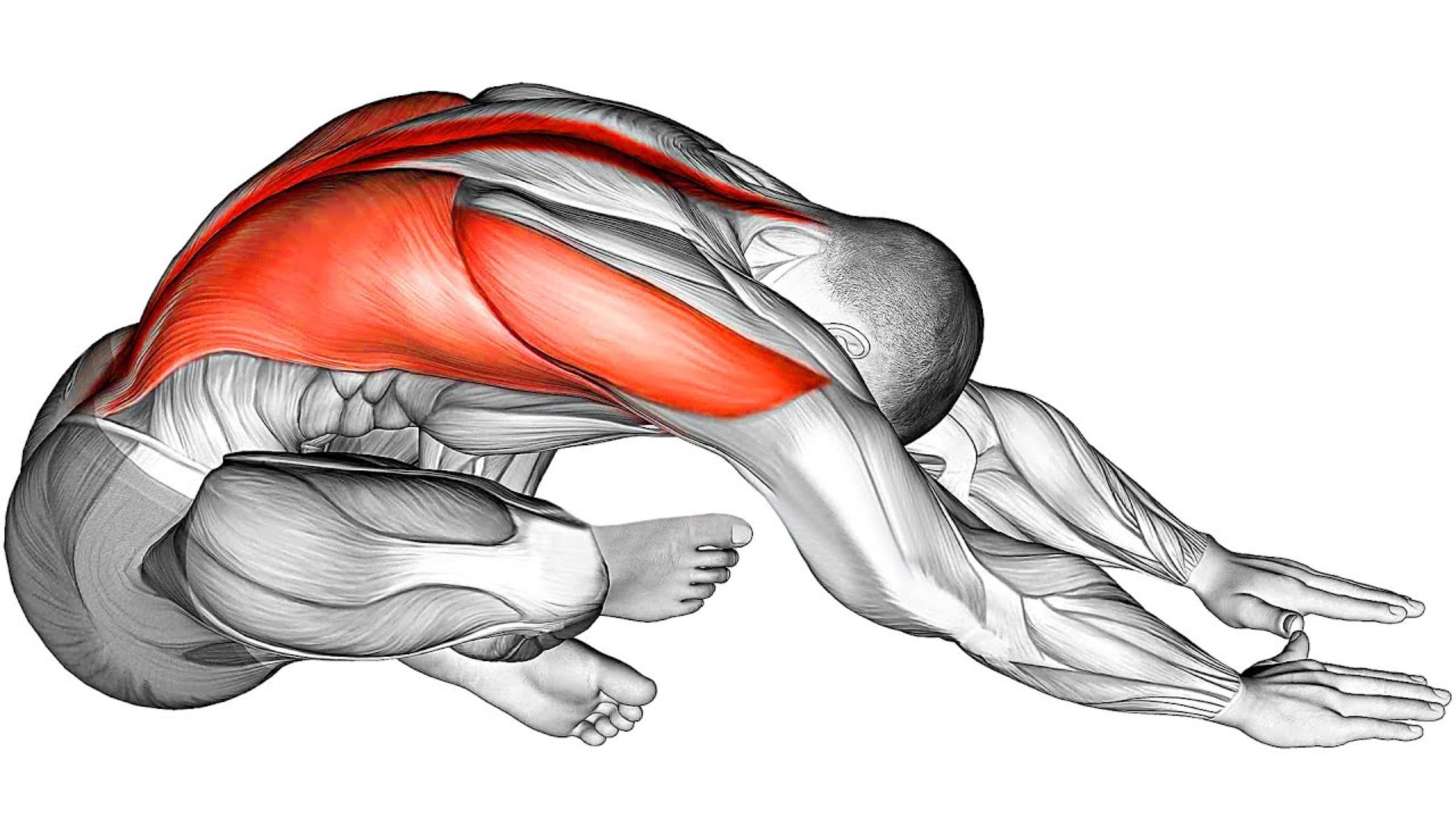 Упражнения для Спины за 6 минут в день смотреть онлайн