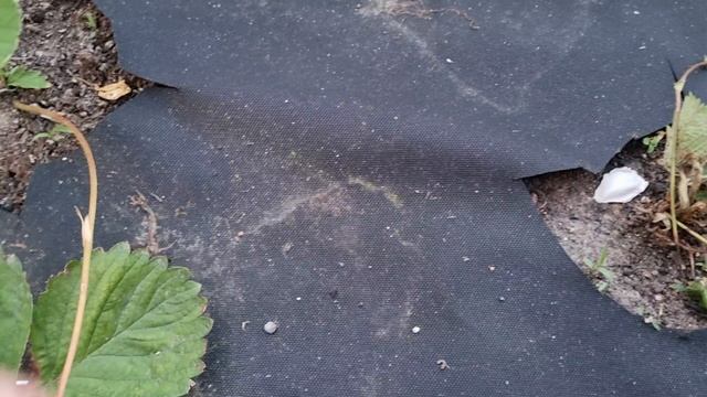 Воскресенье!Всем прекрасного выходного дня! смотреть онлайн