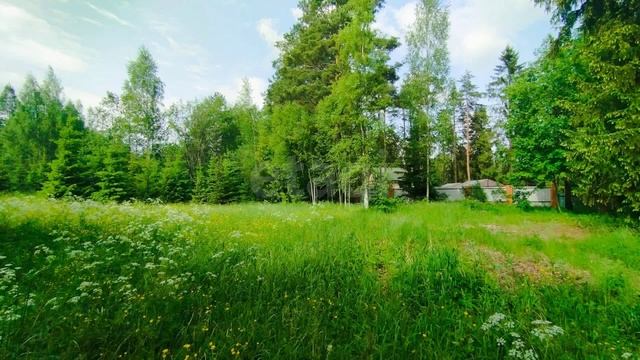 посёлок Пчёвжа, Узкоколейная улица смотреть онлайн