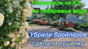 ПЕРЕЕХАЛИ НА ЮГ, УБРАЛИ БРОЙЛЕРОВ, СДЕЛАЛА ТУШЕНКУ