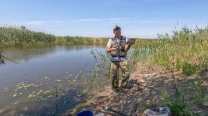 Ахтубинские зарисовки. ЗАЙЦЫ, ЗМЕИ, КРАСНОПЕРКИ и мошкара...