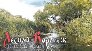 Сплав по реке Лесной Воронеж. Лето 2025