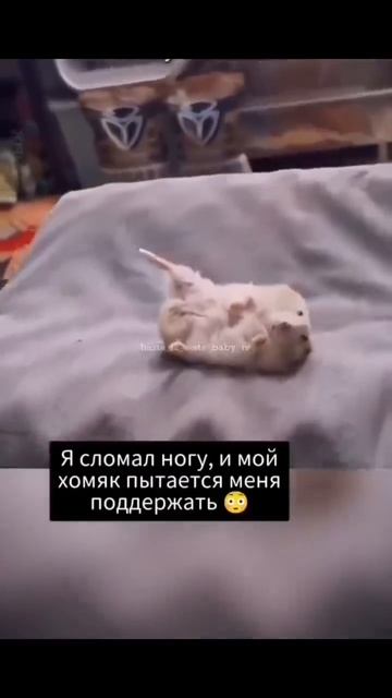 один в один смотреть онлайн