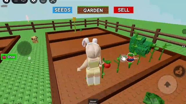 играю в вырасти сад 😋 смотреть онлайн