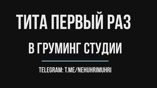 Тита первый раз в грумер студии (Груминг аусси) смотреть онлайн