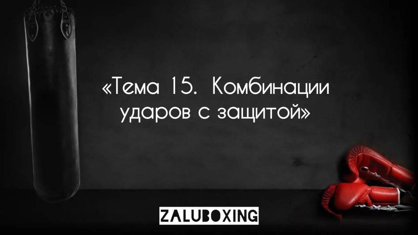 Тема 15. Комбинации ударов с защитными действиями смотреть онлайн