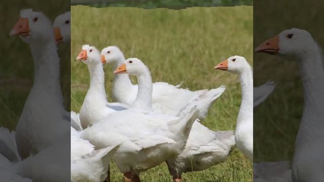 Это интересно-3