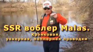 Константин Кузьмин. SSR воблер Malas (фирма Lucky Craft). Крэнковая, уокерная, попперная проводки