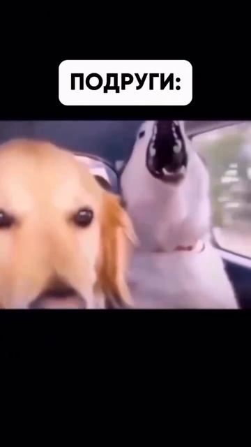 еду с девушками и подругами смотреть онлайн