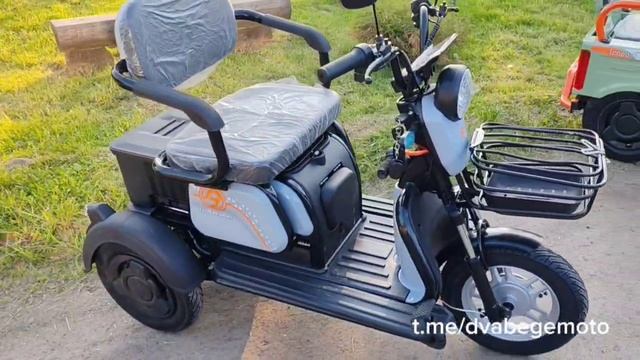 Обзор трициклов 2025: Леопард большой семейный Леопард средний грузопассажирский Трицикл трансформер