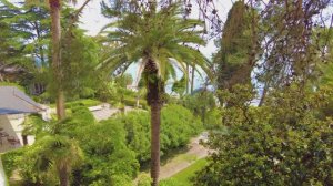 Санаторий Фрунзе. Сочи 2025. Июнь