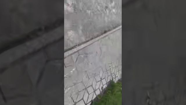 Звуковая карта моего двора 🔊 смотреть онлайн