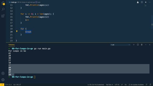 09 - For Loops in Go смотреть онлайн