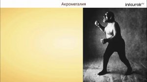 43. Работа эндокринной системы и её нарушения