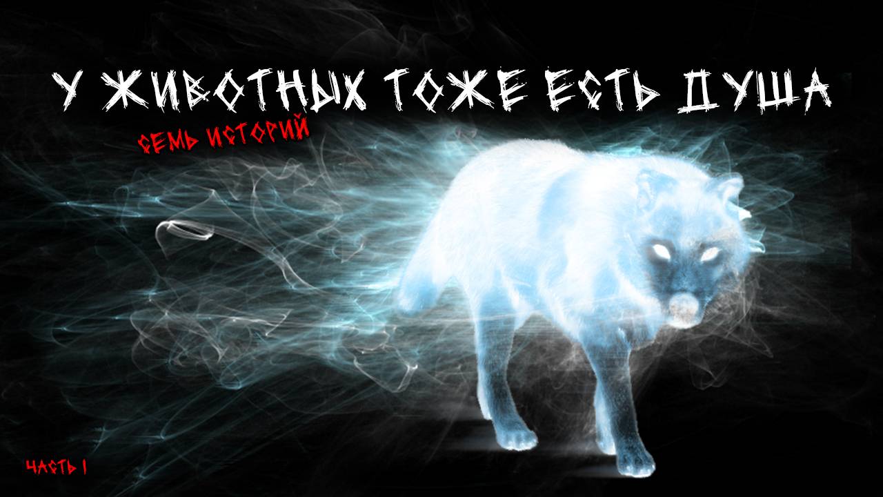 У животных тоже есть душа (7в1) Выпуск №1