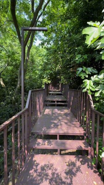 Алупка обновляется. Лестницу сделали к пляжу Черный Бугор #алупка2025 #крым #алупкачерныйбугор смотреть онлайн