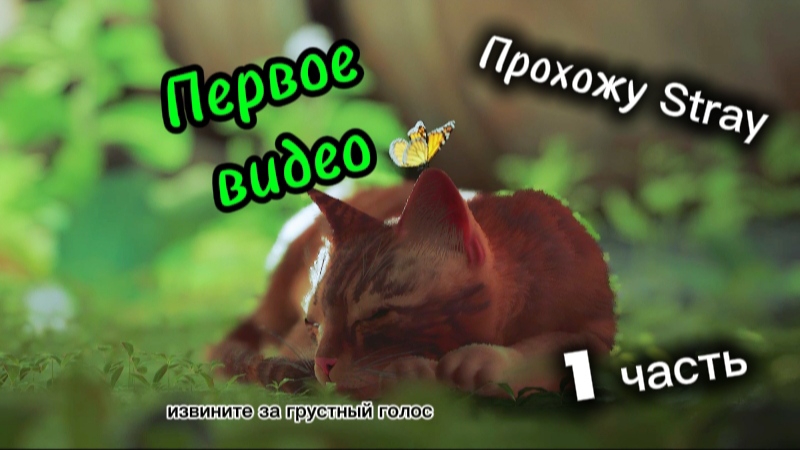 Проходим игру которую я только начал🐱#1