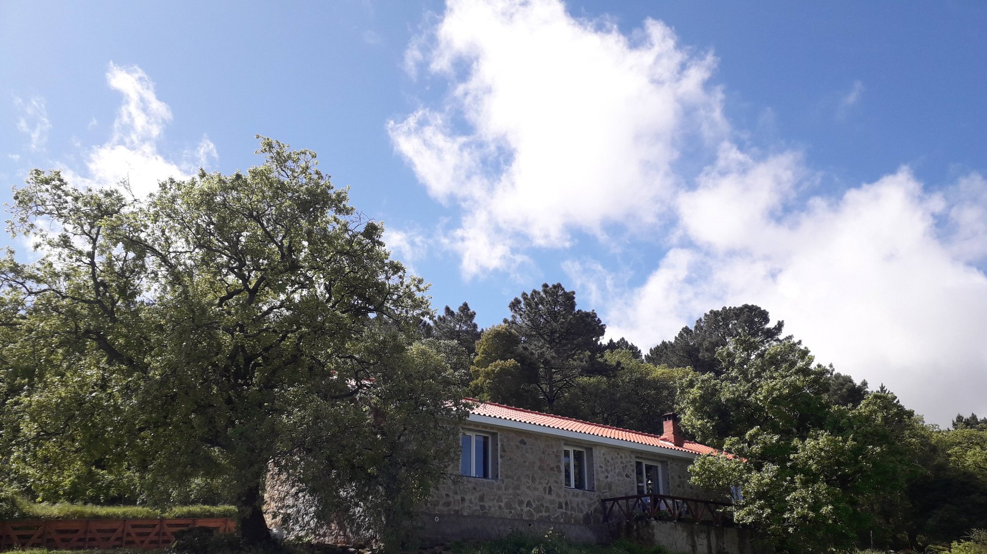 Создаем проект