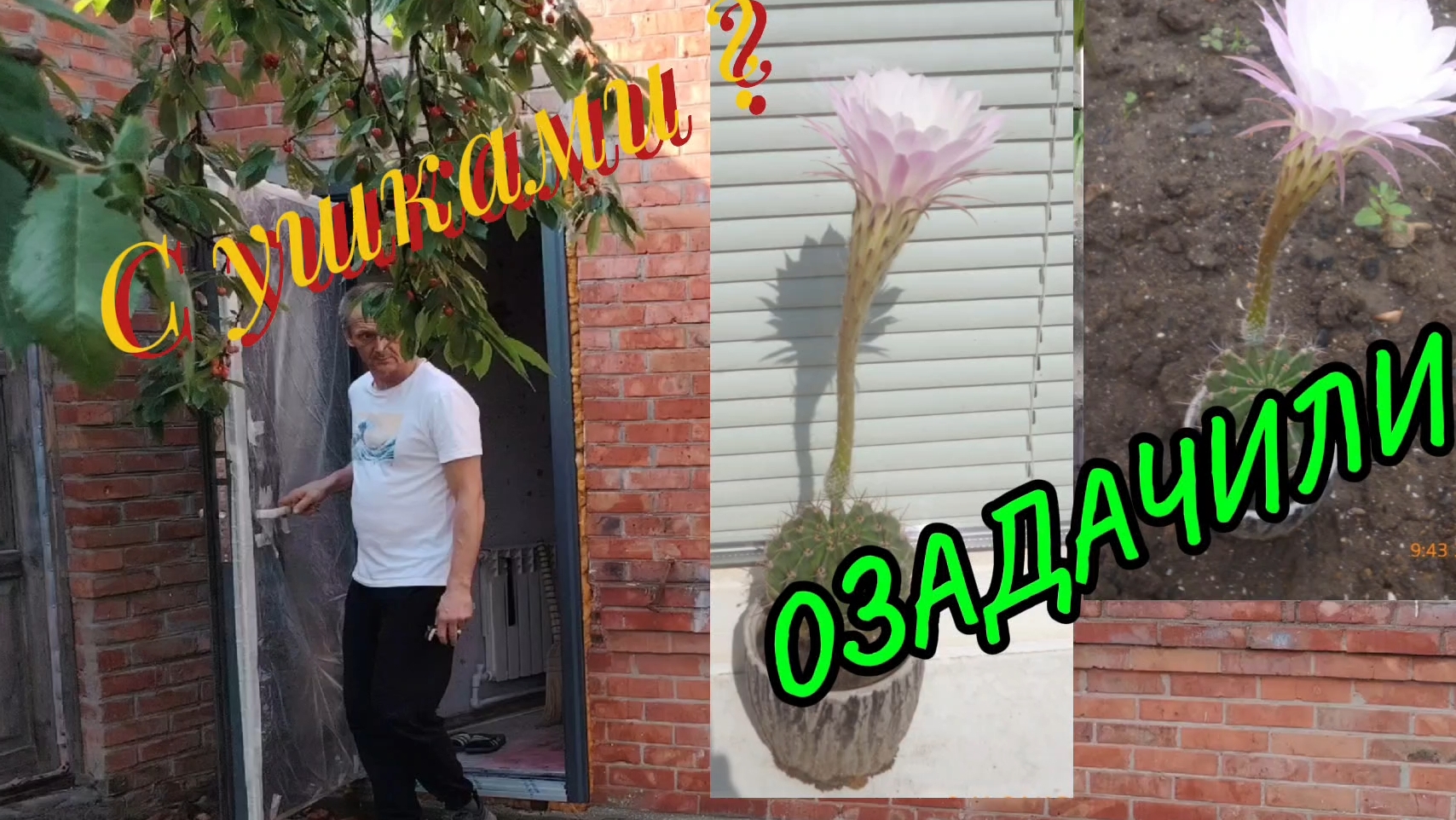 Ейск ! Приображение КУПЕЧЕСКОГО дома у залива ! Озадачили , с ушками или нет и многое ! 15-06-2025 смотреть онлайн