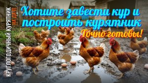 Хотите завести кур и построить курятник? Тогда вас ждет это!
