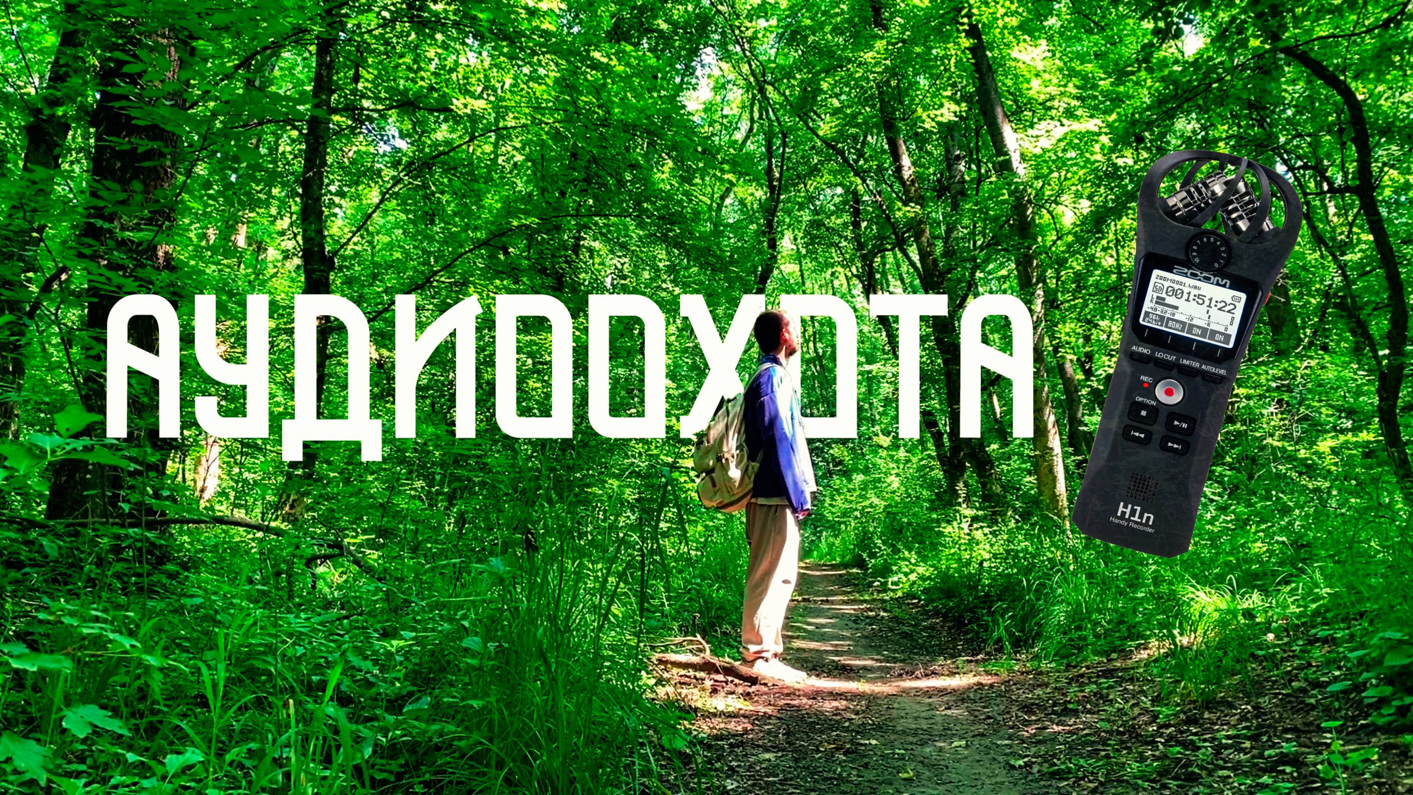 Аудиоохота в Лесной Чаще / Как Записать Пение Птиц и Звуки Природы смотреть онлайн