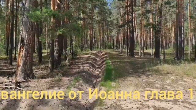 Библия Евангелие от Иоанна глава 10 смотреть онлайн