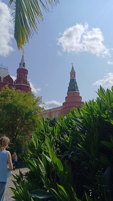 Субтропики у стен Московского Кремля смотреть онлайн