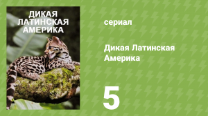Дикая Латинская Америка 5 серия «Бесконечные равнины» (документальный сериал, 2020)