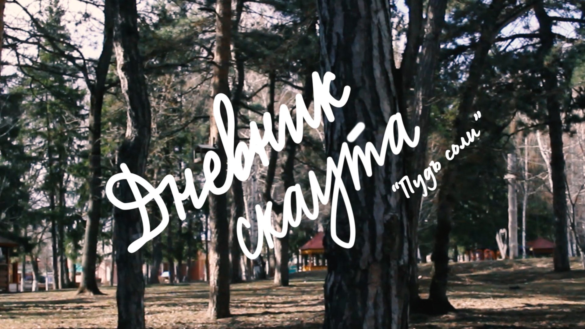 Толоконникова А.С. Дневник скаута «Пудъ соли» - дневниковое кино
