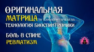 От боли в спине ⚠️ Оригинальная матрица по технологии Гаряева П.П ☀️ SoftRadio.ru