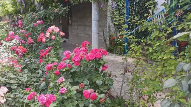 Продолжаем прогулку по саду Т. И. смотреть онлайн