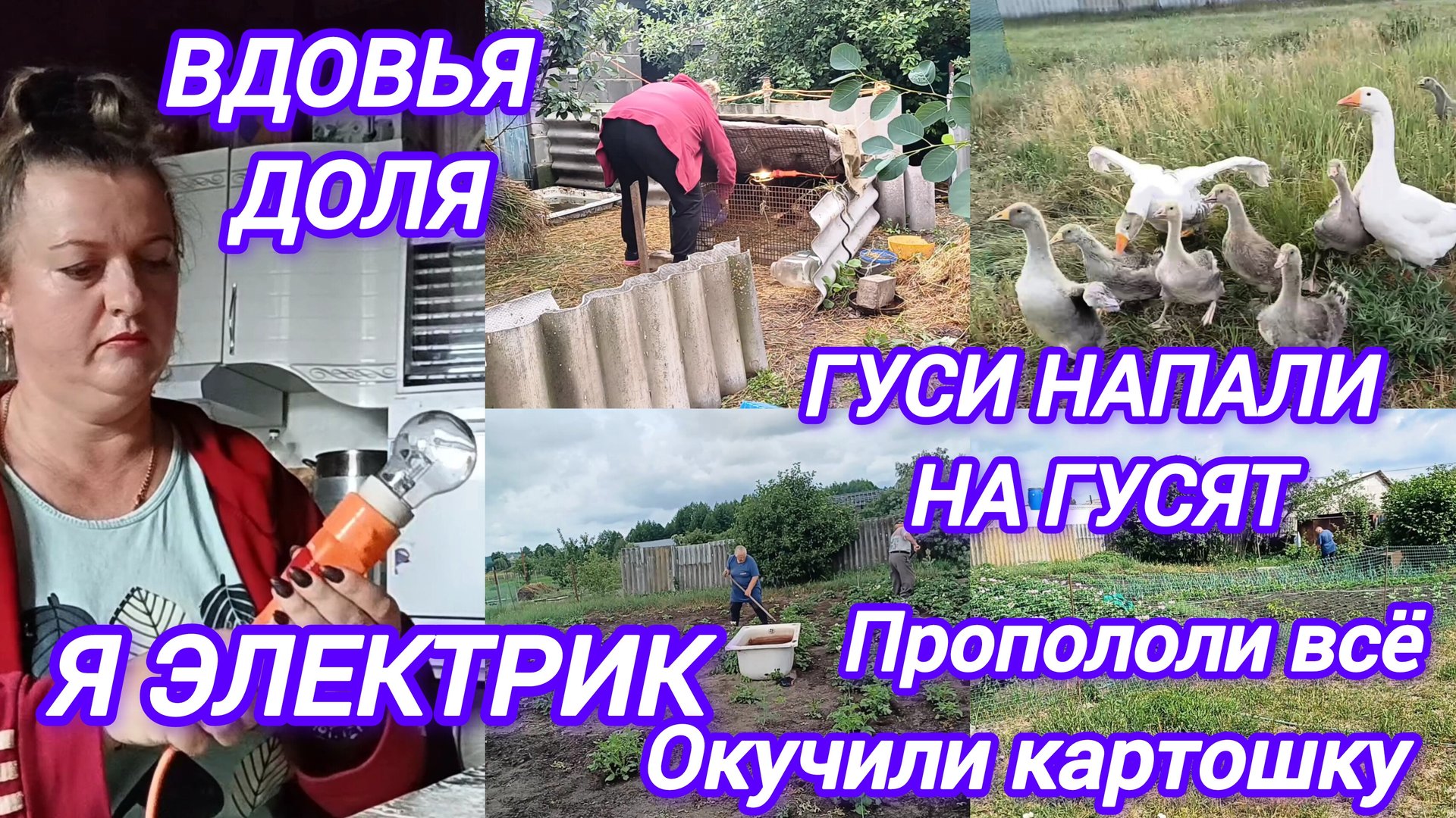 ВДОВЬЯ ДОЛЯ. ЭЛЕКТРО ПРОВОДКА ТОЖЕ НА МНЕ. ГУСИ НАПАЛИ НА ГУСЯТ. СУПЕР ЧИСТЫЙ ОГОРОД смотреть онлайн