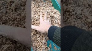 как я делаю бокаши для сада огорода и для запуска субстрата для червя