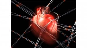 Фасциальное расслабление в профилактике сердечно-сосудистых заболеваний.