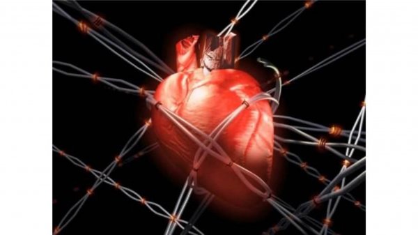 Фасциальное расслабление в профилактике сердечно-сосудистых заболеваний.