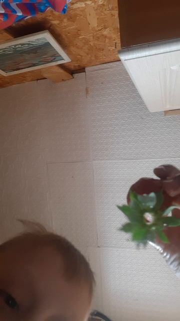 20250615_162927.mp4 смотреть онлайн