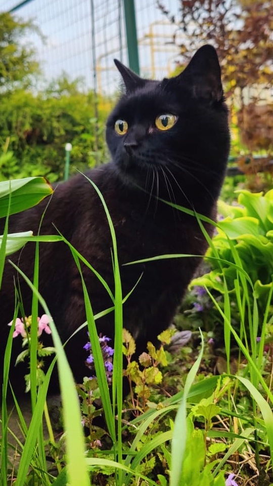 Вечерняя красота. смотреть онлайн