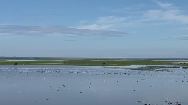 Скрытая жемчужина Таиланда: Лодочное путешествие по озеру Тхале Ной смотреть онлайн