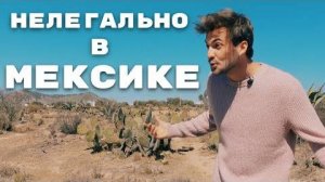Выгоняют из страны. Ищу жену мексиканку. | Мото путешествие