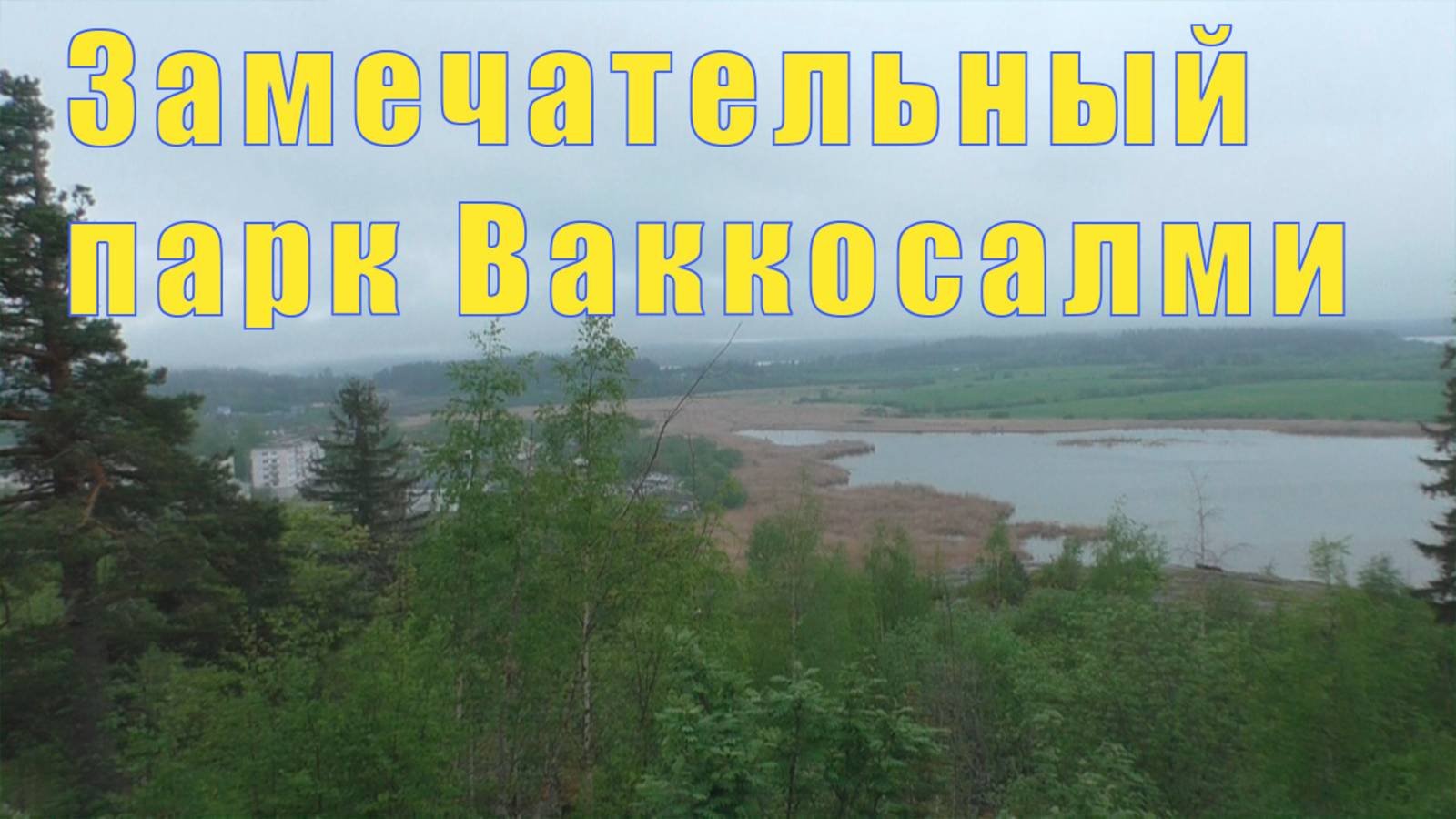 ЗАМЕЧАТЕЛЬНЫЙ ПАРК ВАККОСАЛМИ в СОРТАВАЛА / 29 и 30 мая 2025 смотреть онлайн