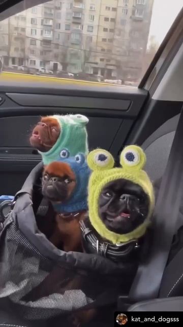 едем в соседнее село на дискотеку смотреть онлайн