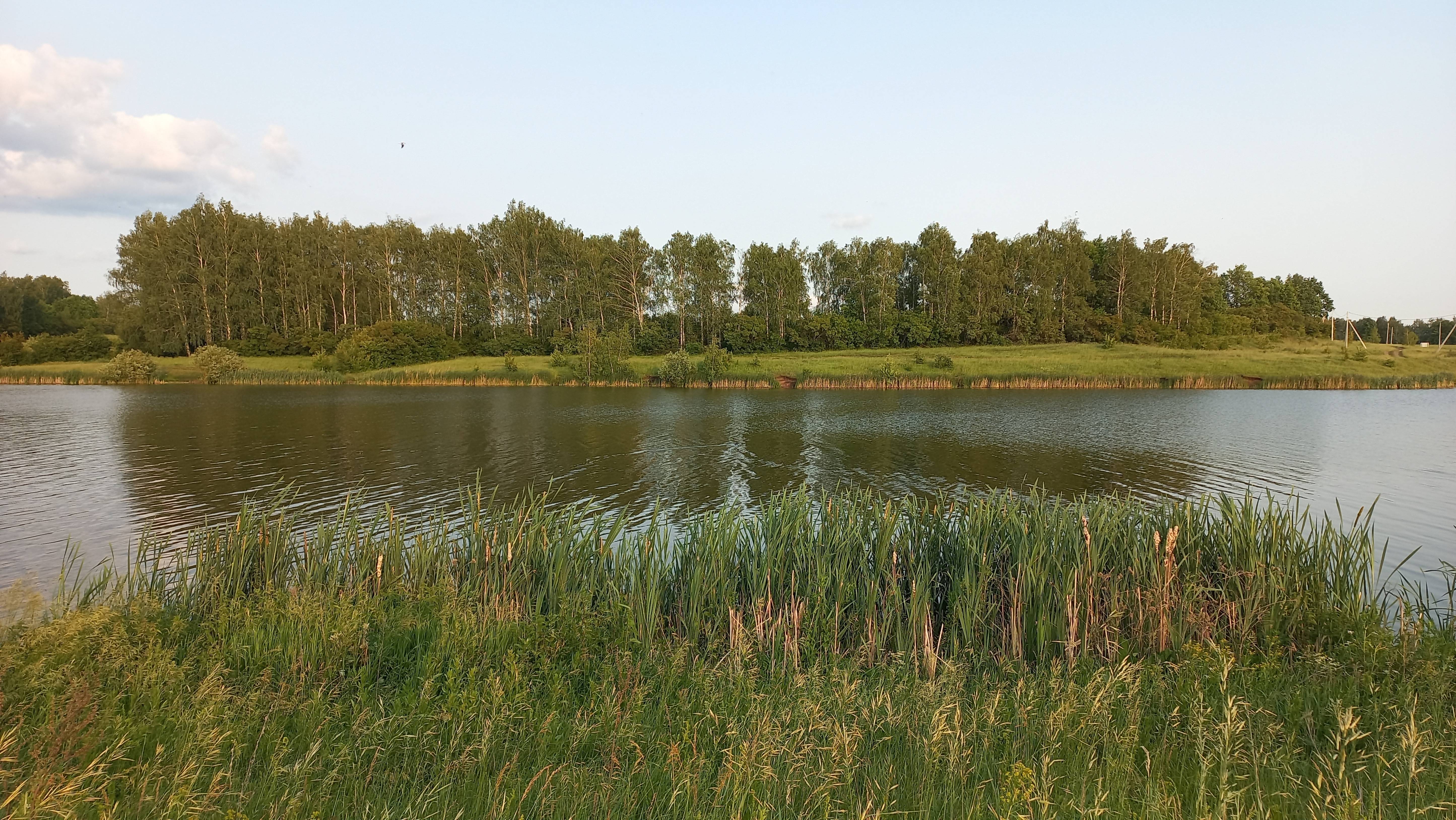 Ловлю карася на поплавочную удочку. Как в детстве.