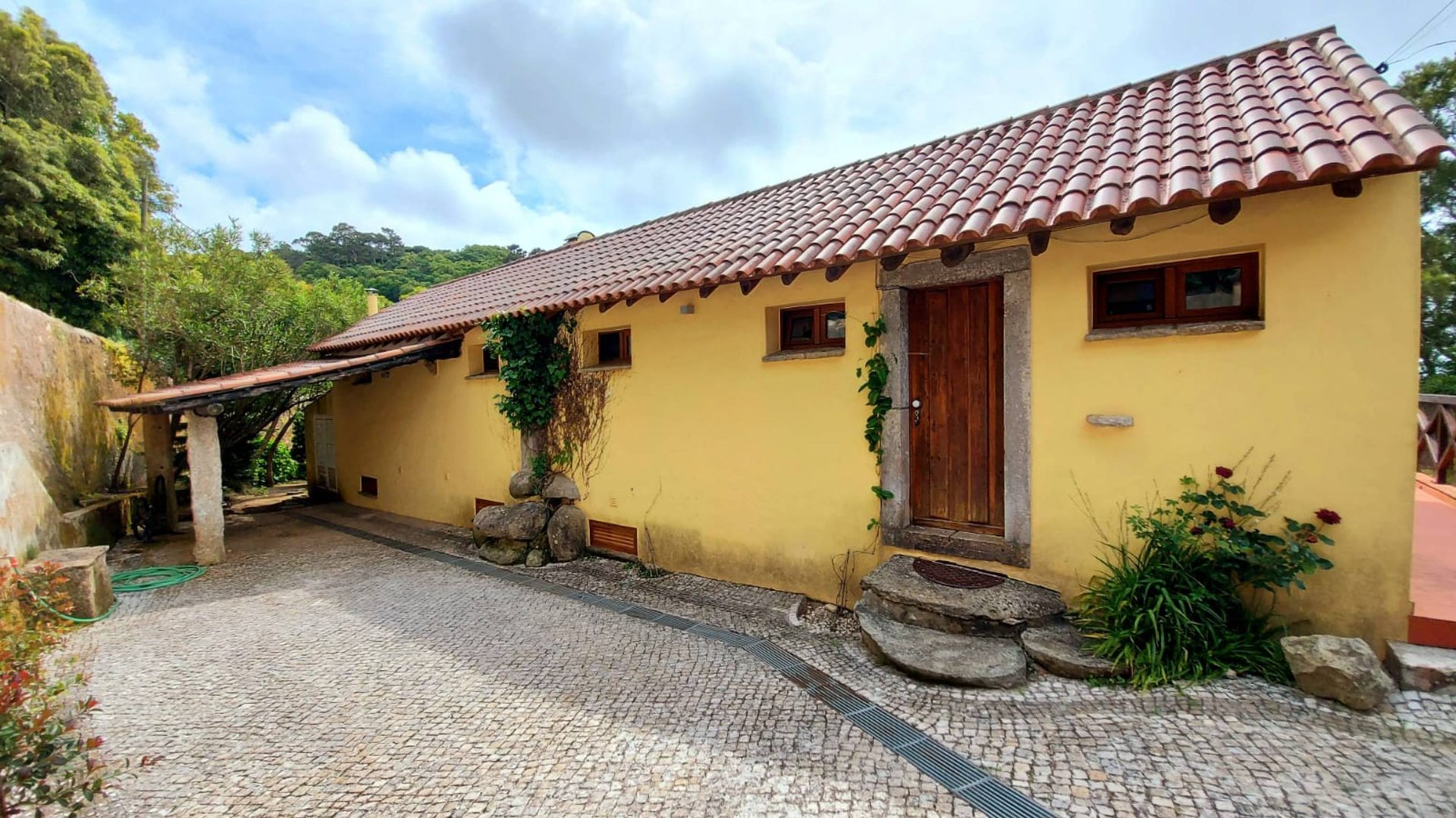 Статус, или вид участка.