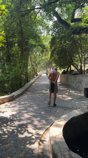 Спокойная атмосфера Воронцовского парка #воронцовскийпарк #алупка #алупкасегодня смотреть онлайн