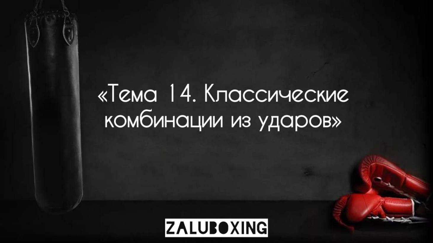 Тема 14. Классический комбинации из ударов смотреть онлайн